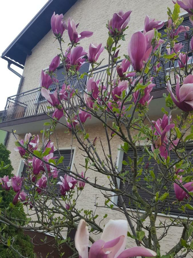 Apartmani Grlice II Varazdin Exterior photo